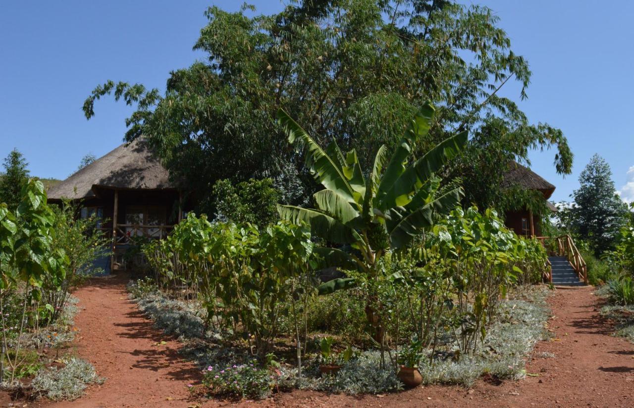 Rutete Eco Lodge Rwinkwavu Eksteriør bilde