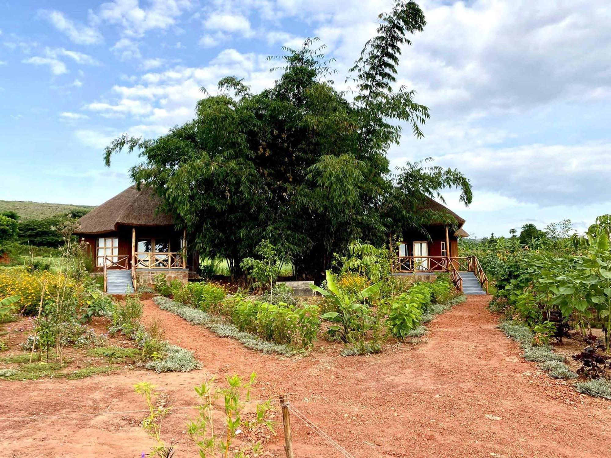 Rutete Eco Lodge Rwinkwavu Eksteriør bilde